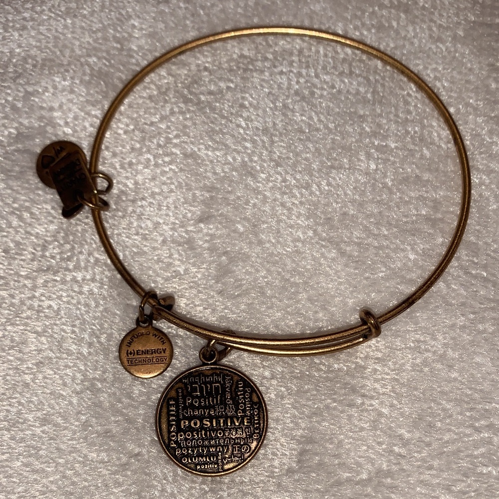 Alex and Ani Gold Bangle Bracelet with Charms